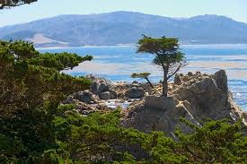 17 mile drive