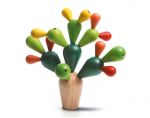 Boutique jouet mikado cactus plantoys