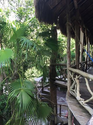 Escalier jolie jungle Escalier jolie jungle